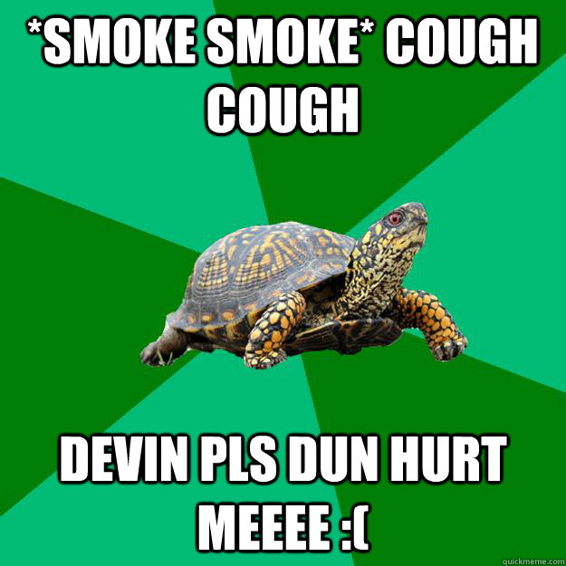 *Smoke smoke* Cough cough DEVIN PLS DUN HURT MEEEE :(  Torrenting Turtle