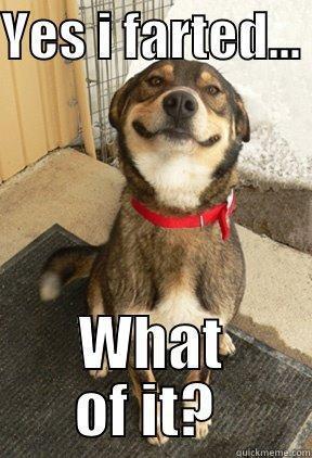 YES I FARTED...  WHAT OF IT?  Good Dog Greg