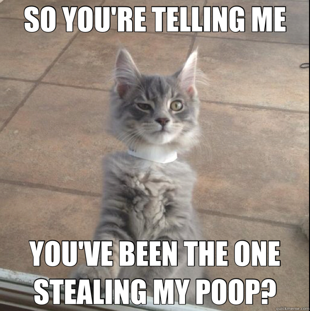 SO YOU'RE TELLING ME YOU'VE BEEN THE ONE STEALING MY POOP? - SO YOU'RE TELLING ME YOU'VE BEEN THE ONE STEALING MY POOP?  Misc