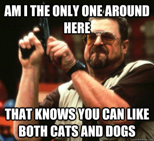 Am i the only one around here that knows you can like both cats and dogs - Am i the only one around here that knows you can like both cats and dogs  Am I The Only One Around Here
