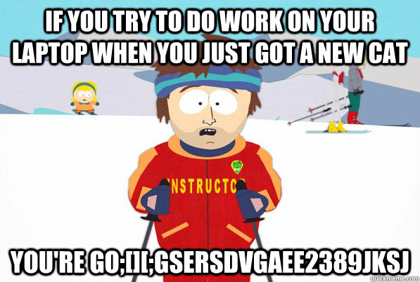 IF YOU TRY TO DO WORK ON YOUR LAPTOP WHEN YOU JUST GOT A NEW CAT YOU'RE GO;[][;GSERSDVGAEE2389JKSJ  Bad Time Ski Instructor