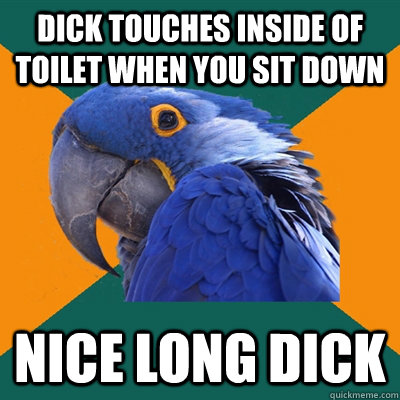 Dick touches inside of toilet when you sit down nice long dick  Paranoid Parrot