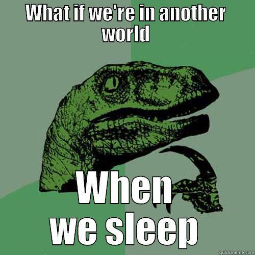 WHAT IF WE'RE IN ANOTHER WORLD WHEN WE SLEEP Philosoraptor