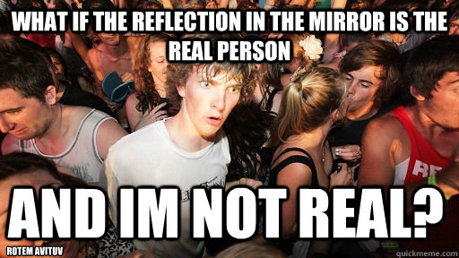 what if the reflection in the mirror is the real person and im not real? rotem avituv  Sudden Clarity Clarence