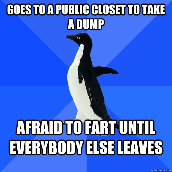goes to a public closet to take a dump afraid to fart until everybody else leaves  Socially Awkward Penguin