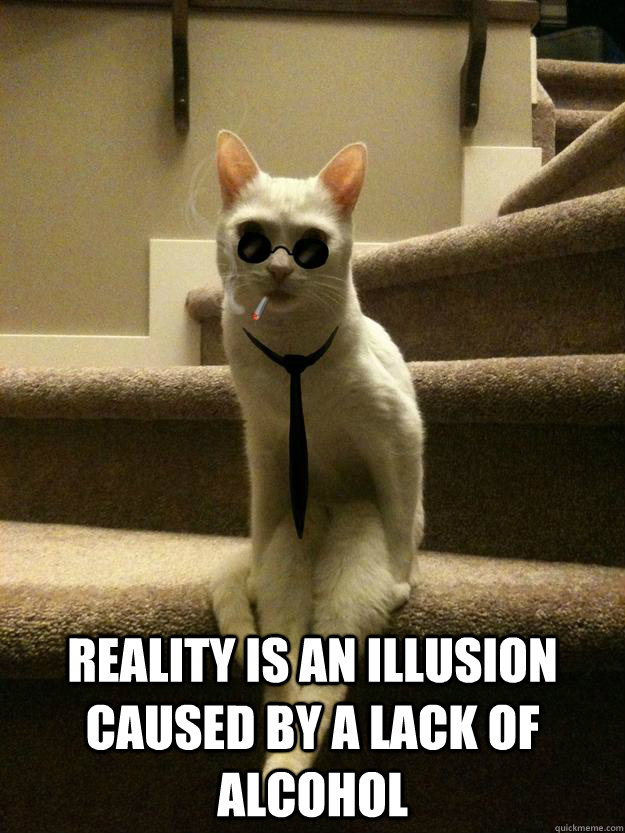  Reality is an illusion caused by a lack of alcohol -  Reality is an illusion caused by a lack of alcohol  Jazz Cat