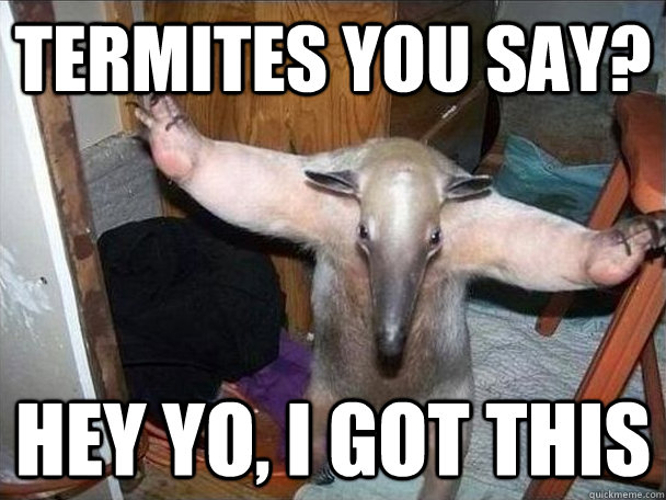 Termites you say? hey yo, i got this  I got this
