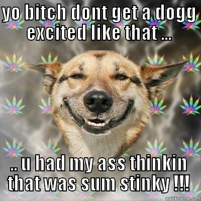 YO BITCH DONT GET A DOGG EXCITED LIKE THAT ... .. U HAD MY ASS THINKIN THAT WAS SUM STINKY !!! Stoner Dog