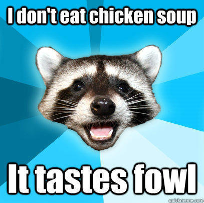 I don't eat chicken soup It tastes fowl - I don't eat chicken soup It tastes fowl  Lame Pun Coon