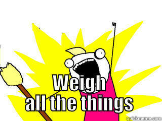  WEIGH ALL THE THINGS All The Things