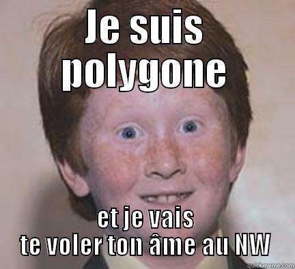 JE SUIS POLYGONE ET JE VAIS TE VOLER TON ÂME AU NW Over Confident Ginger