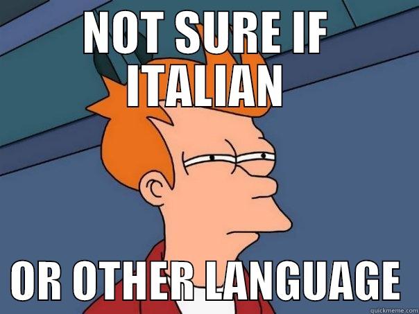 NOT SURE IF ITALIAN   OR OTHER LANGUAGE  Futurama Fry