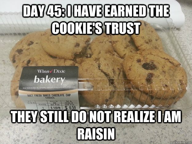 Day 45: I have earned the cookie's trust They still do not realize I am raisin - Day 45: I have earned the cookie's trust They still do not realize I am raisin  Misc