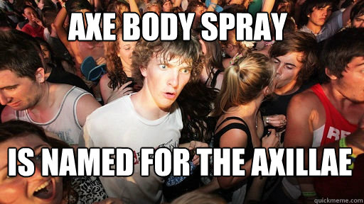 AXE BODY SPRAY 
 IS NAMED FOR THE axillae  Sudden Clarity Clarence
