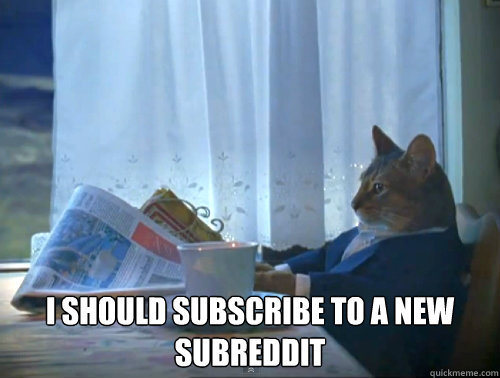  I should subscribe to a new subreddit  The One Percent Cat