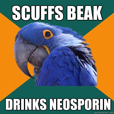 SCUFFS BEAK DRINKS NEOSPORIN   Paranoid Parrot