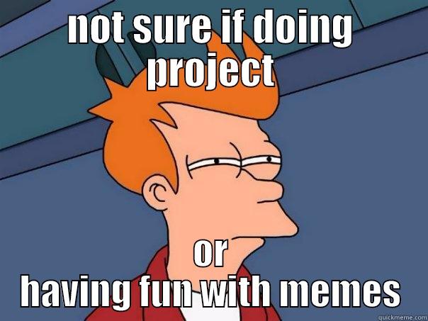 NOT SURE IF DOING PROJECT OR HAVING FUN WITH MEMES Futurama Fry