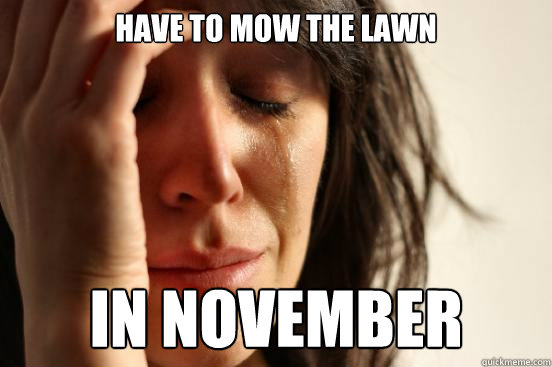 Have to mow the lawn In November  First World Problems