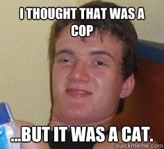 I thought that was a cop ...but it was a cat. - I thought that was a cop ...but it was a cat.  Stoner Stan