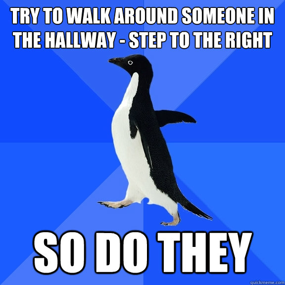 Try to walk around someone in the hallway - Step to the right So do they  Socially Awkward Penguin