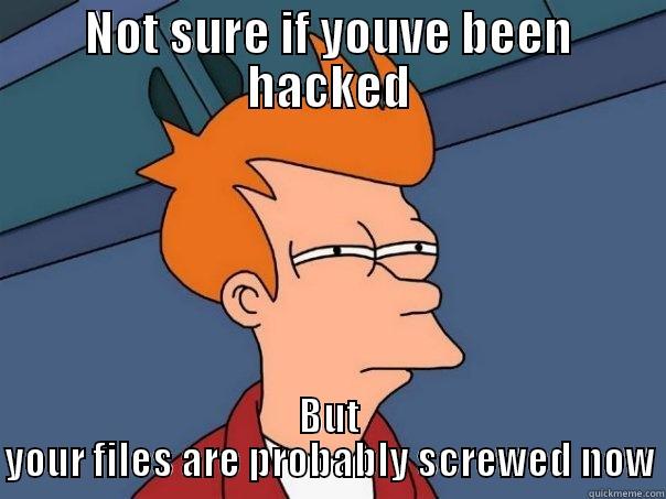 NOT SURE IF YOUVE BEEN HACKED BUT YOUR FILES ARE PROBABLY SCREWED NOW Futurama Fry