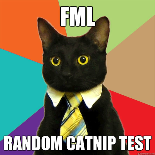 FML random catnip test  Business Cat