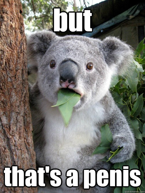 but that's a penis  Shocked Koala