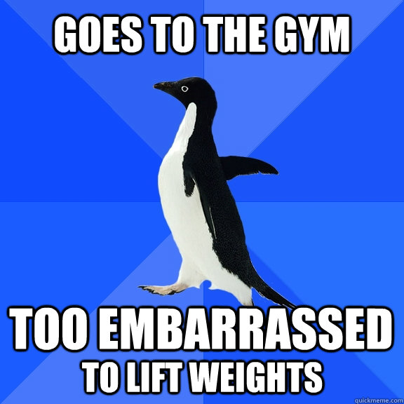 goes to the gym too embarrassed to lift weights   Socially Awkward Penguin