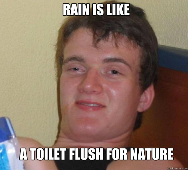 Rain is like A toilet flush for nature  10guy