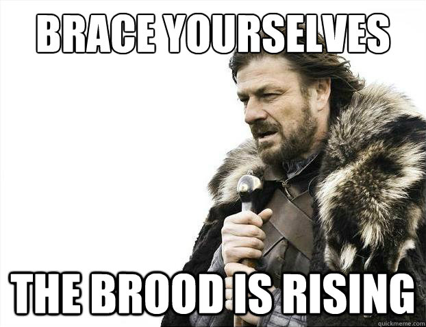 Brace yourselves The Brood is rising  Brace Yourselves - Borimir