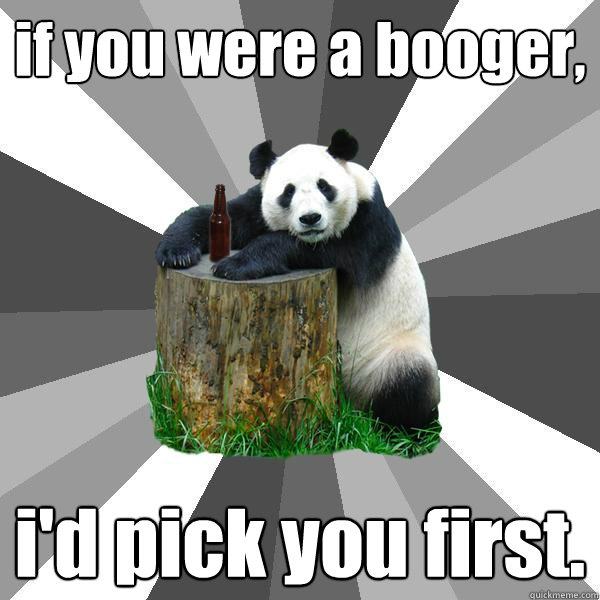 if you were a booger, i'd pick you first.  Pickup-Line Panda