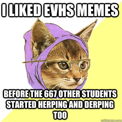 I liked EVHS memes before the 667 other students started herping and derping too  Hipster Kitty