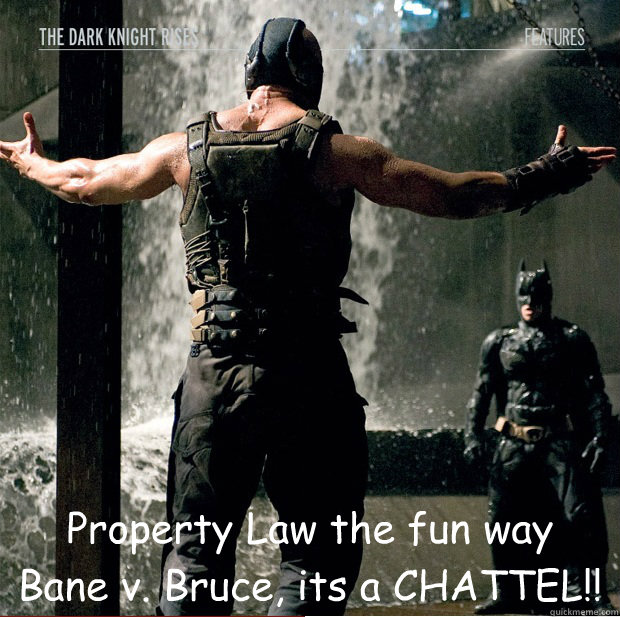 Property Law the fun way
Bane v. Bruce, its a CHATTEL!!  