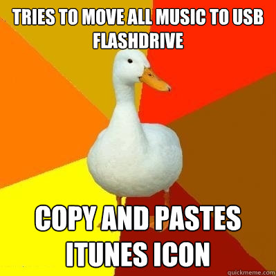 Tries to move all music to usb flashdrive   copy and pastes iTunes icon   Tech Impaired Duck