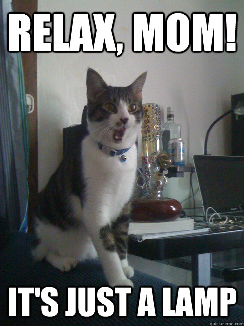 RELAX, MOM! iT'S JUST A LAMP - RELAX, MOM! iT'S JUST A LAMP  Bong Cat Is Lying
