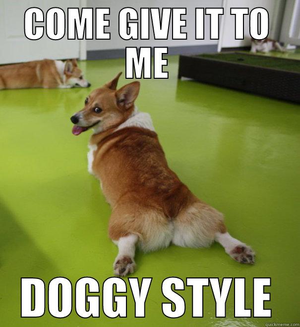 doggy style - COME GIVE IT TO ME DOGGY STYLE Misc