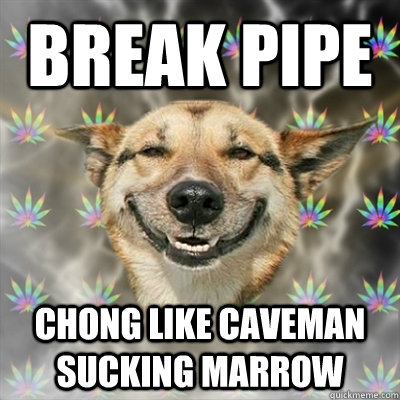 Break pipe Chong like caveman sucking marrow  - Break pipe Chong like caveman sucking marrow   Stoner Dog