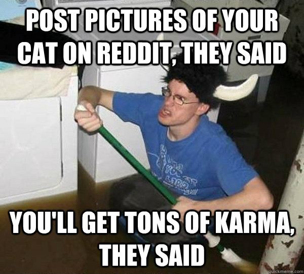 Post pictures of your cat on reddit, they said you'll get tons of karma, they said  They said