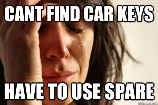 CANT FIND CAR KEYS HAVE TO USE SPARE  First World Problems