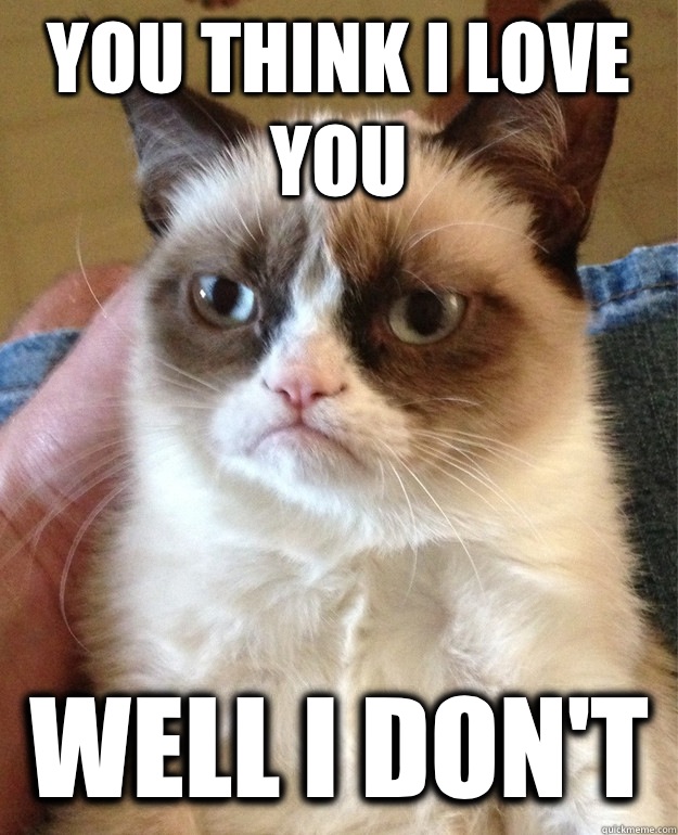 You think I love you Well I don't   Grumpy Cat
