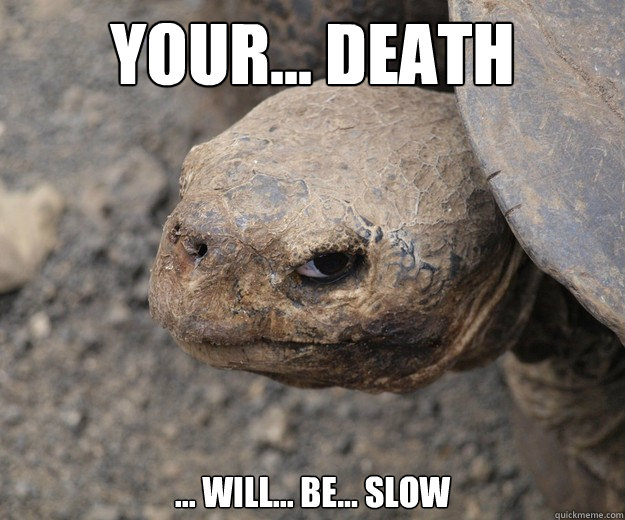 Your... death ... will... be... slow - Your... death ... will... be... slow  Insanity Tortoise