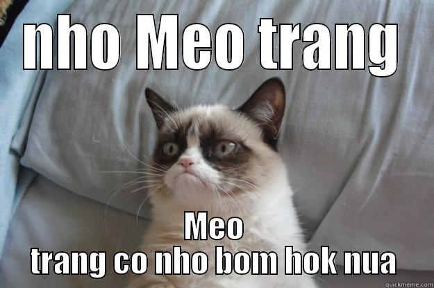 NHO MEO TRANG MEO TRANG CO NHO BOM HOK NUA Grumpy Cat