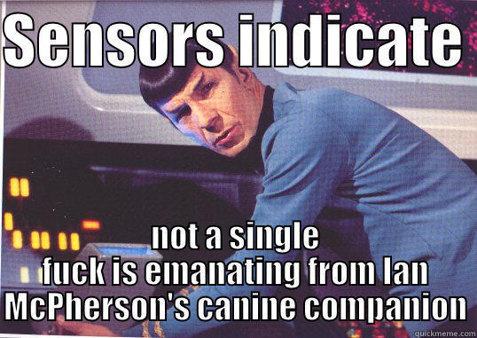 SENSORS INDICATE  NOT A SINGLE FUCK IS EMANATING FROM IAN MCPHERSON'S CANINE COMPANION Misc