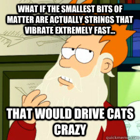 What if the smallest bits of matter are actually strings that vibrate extremely fast... that would drive cats crazy  