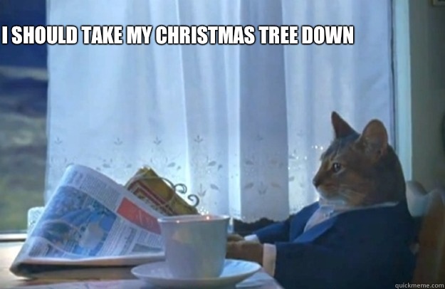 I should take my Christmas tree down  Sophisticated Cat