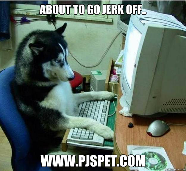about to go jerk off.. www.pjspet.com - about to go jerk off.. www.pjspet.com  Disapproving Dog
