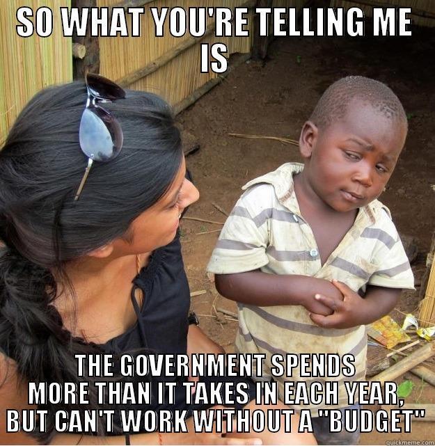 SO WHAT YOU'RE TELLING ME IS THE GOVERNMENT SPENDS MORE THAN IT TAKES IN EACH YEAR, BUT CAN'T WORK WITHOUT A 