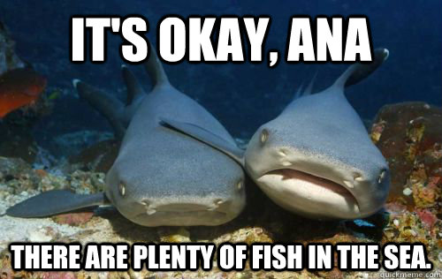 It's okay, Ana There are plenty of fish in the sea. - It's okay, Ana There are plenty of fish in the sea.  Sympathetic shark