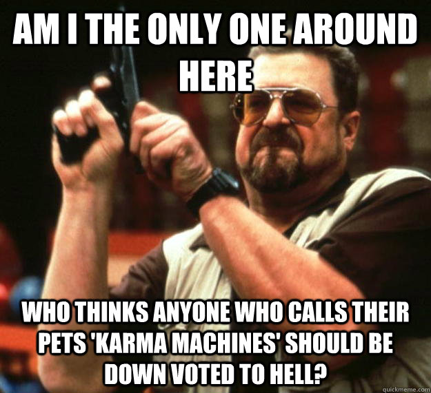 am I the only one around here who thinks anyone who calls their pets 'Karma machines' should be down voted to hell? - am I the only one around here who thinks anyone who calls their pets 'Karma machines' should be down voted to hell?  Angry Walter