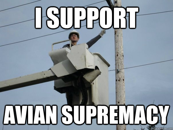 I support avian supremacy - I support avian supremacy  Misc